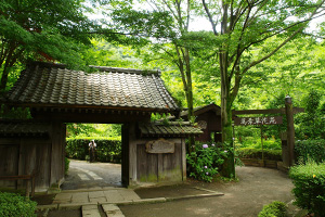 芹ヶ谷公園