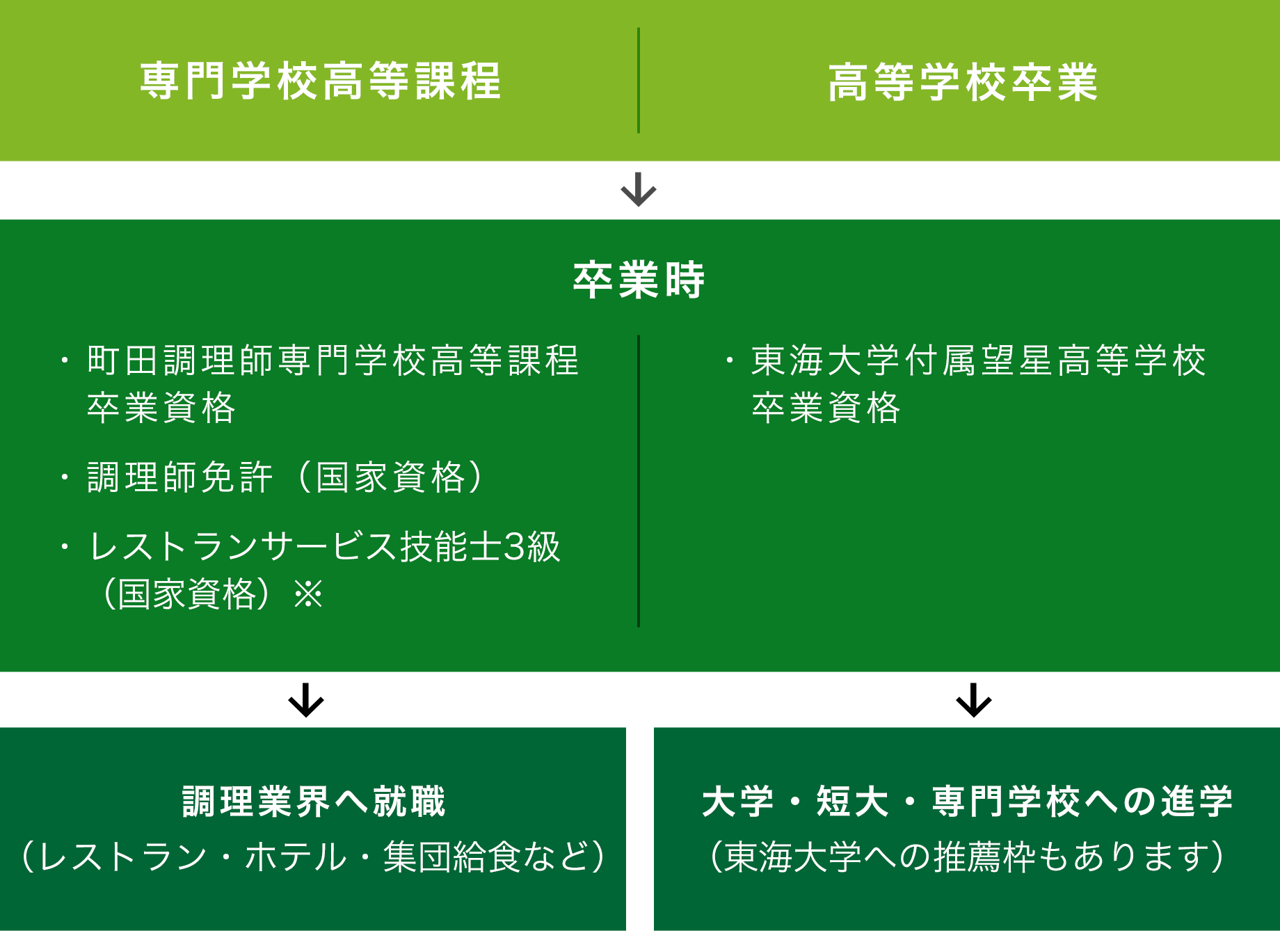 大学・短大・専門学校への進学