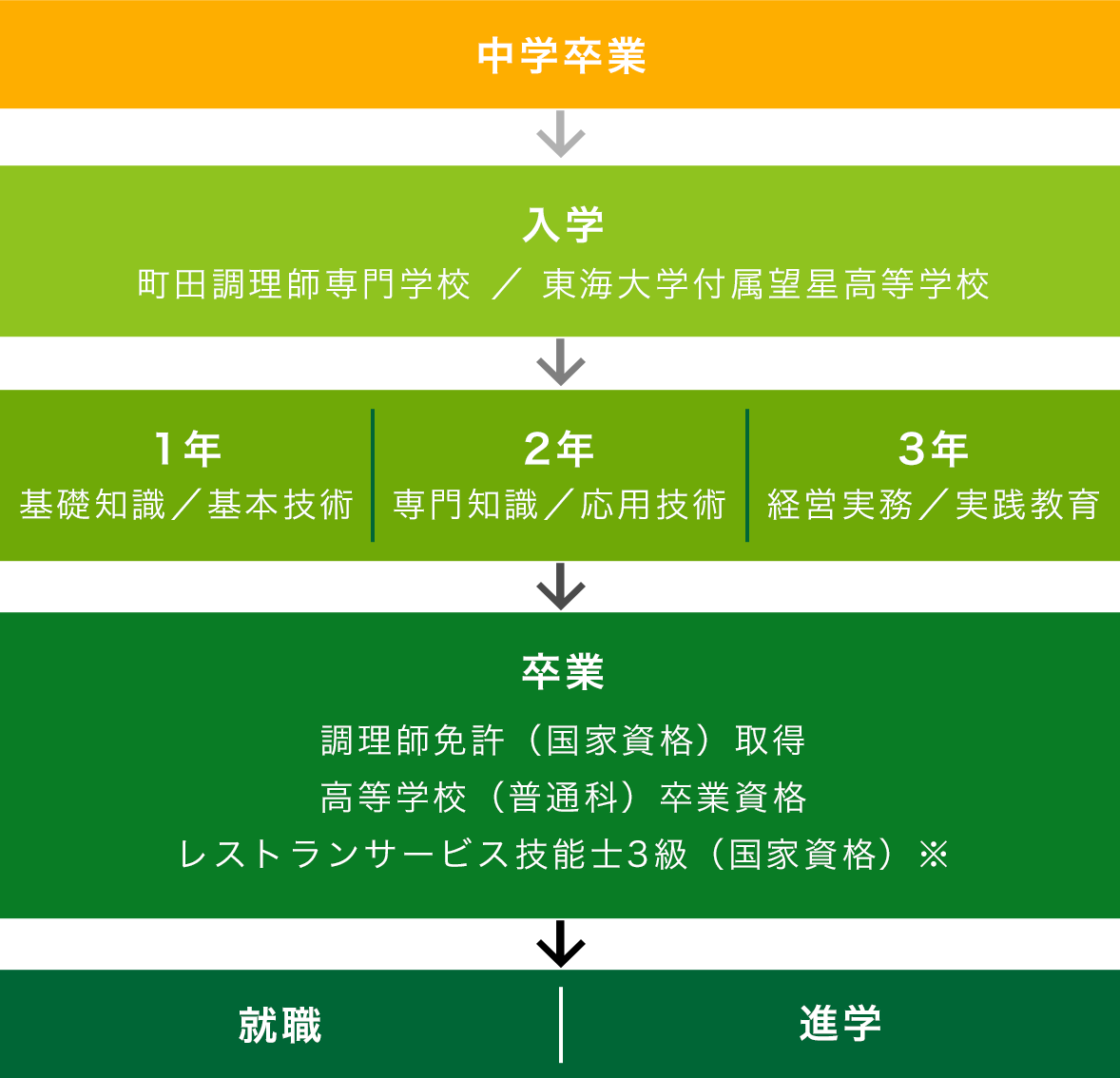 入学から卒業までのフロー図