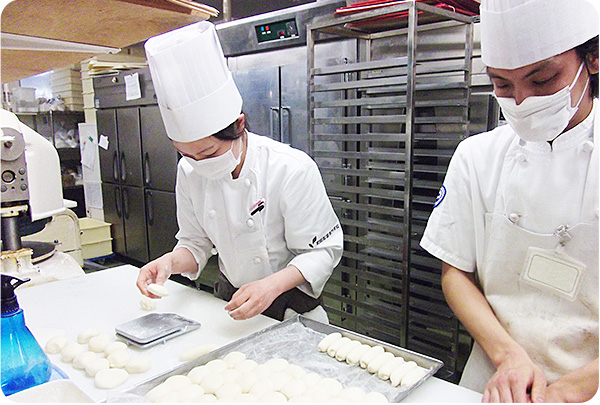 就職 求人 町田製菓専門学校